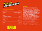 Reese’s Nutrageous Peanut Butter Riegel 18 x 47g